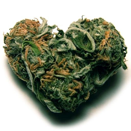 World of Cannabis is the gateway to a new renaissance society.