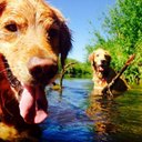 Sandy Glick - @GlickSandy - Twitter