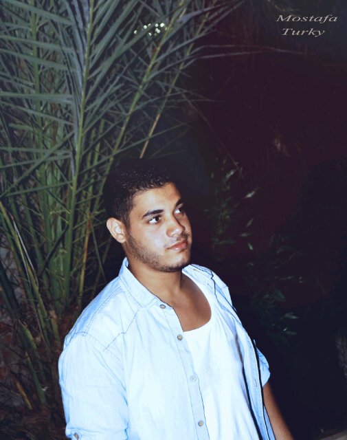 SasaTurky's profile picture. 