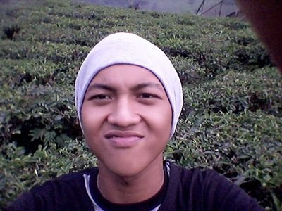 @Warbu_Fams1  NESTAN15