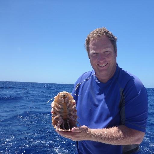 D__Donovan's profile picture. 