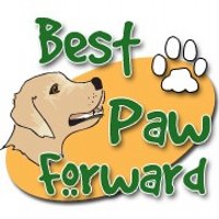 Best Paw Forward(@bestpawforwardw) 's Twitter Profile Photo