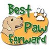 bestpawforwardw's profile picture. We offer a variety of positive reinforcement force-free dog training  classes for all dogs and handlers. Everyone learns in a fun, positive and safe atmosphere!