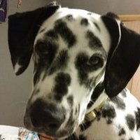 Brandon Loritz (@jeffloritz69) 's Twitter Profile