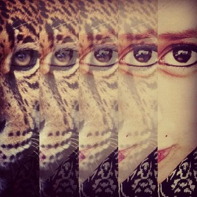 CornejoDina's profile picture. 