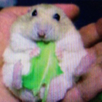 OKANOT1005's profile picture. 