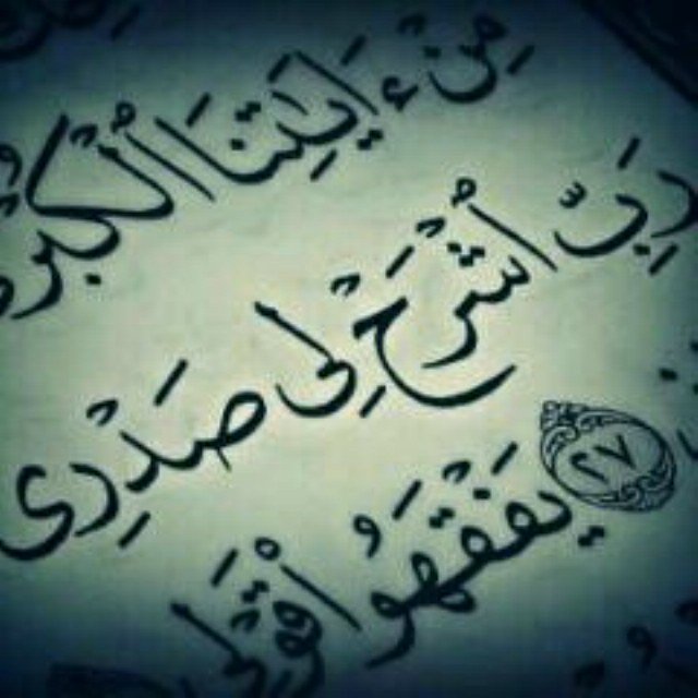 Qw_er1234's profile picture. 