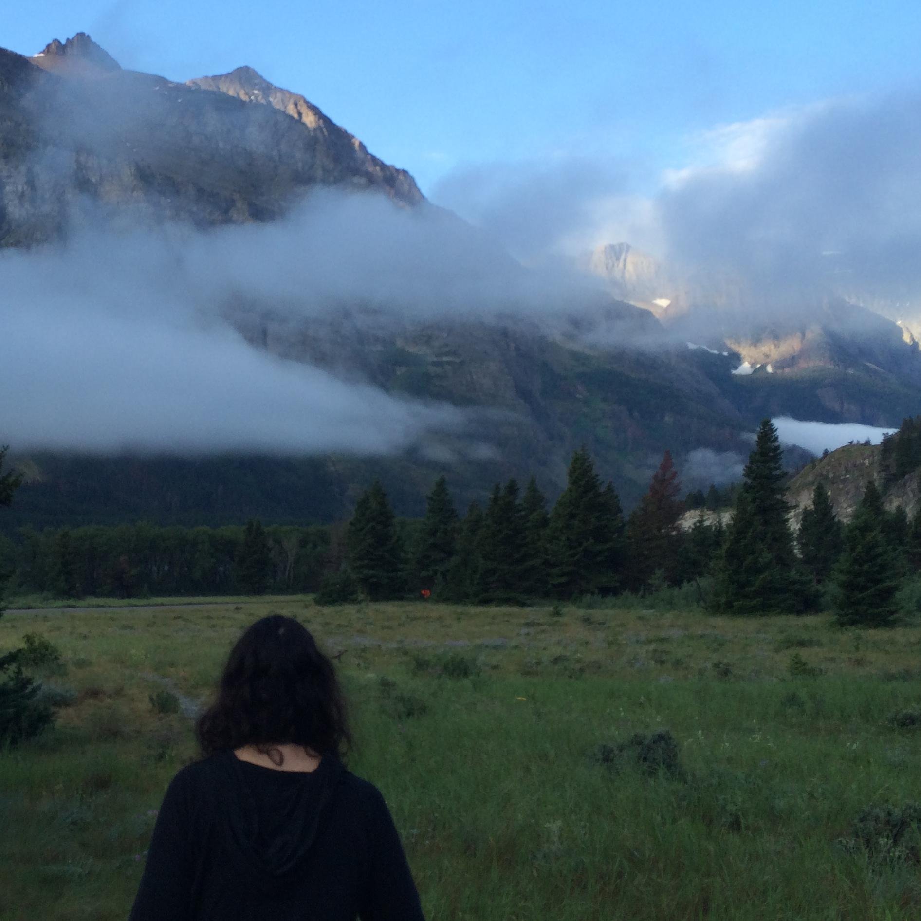 Love moss and mountains and technology and indy media and owls and rain.