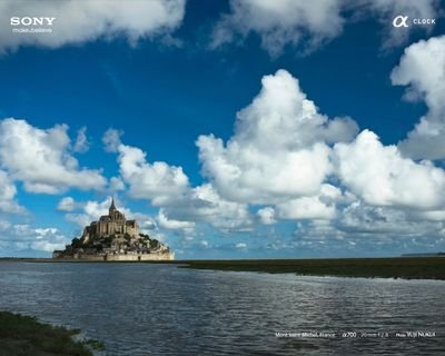 sos240888713's profile picture. 