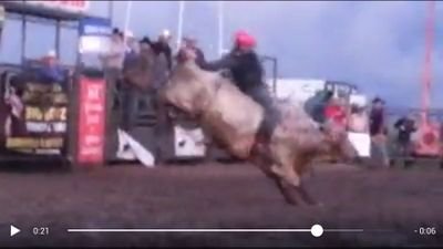 lee23whitcomb's profile picture. 