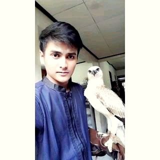 yogabilliputra's profile picture. unpad management'12|