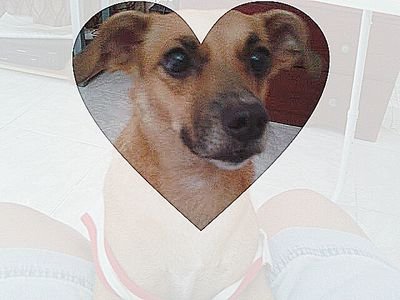 newandroid13's profile picture. 