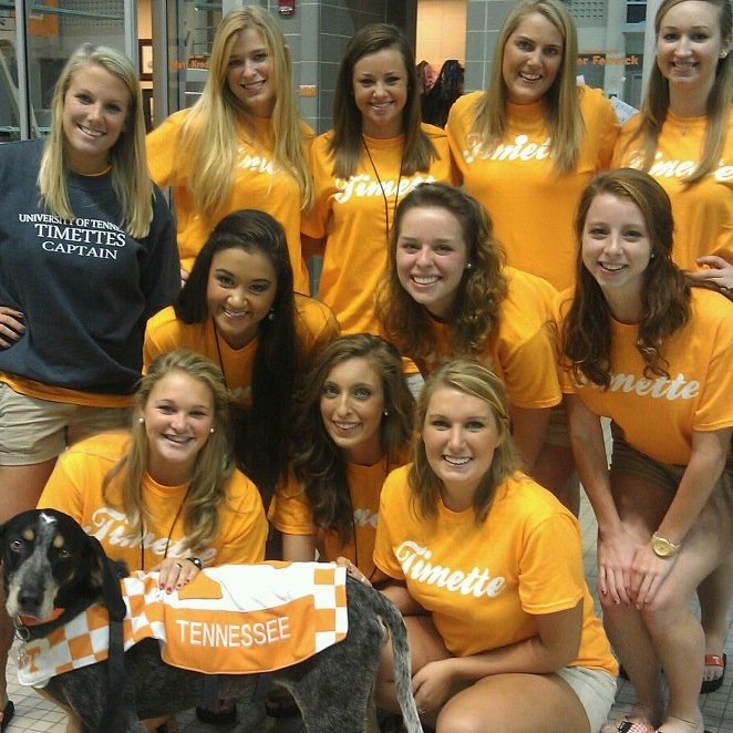 Established in 1967, we're the Tennessee Timettes! The backup timers and assistant meet managers for The University of Tennessee Swim and Diving Team! Go Vols!