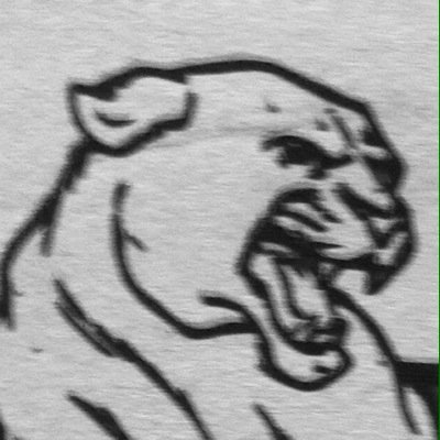 Welcome to the Platinum Press twitter
Go Pumas!
