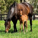 John Stanley - @John75Stanley - Twitter