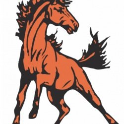 Official Twitter Page of the Student Section at The Lewis Palmer High School