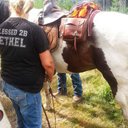 ann waddell - @AcwaddAnn - Twitter