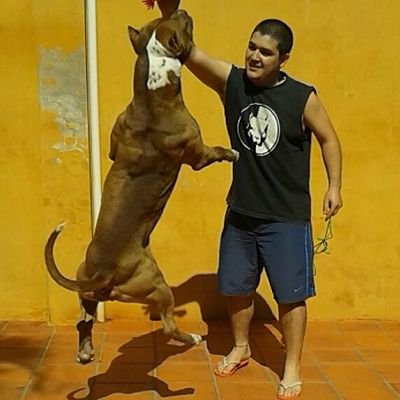 Strong like a Bull 🏍🏋️‍♀️⚽️🍻