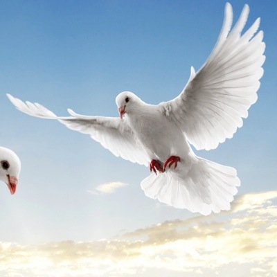 Psych_Najat Profile Picture