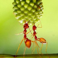 TNT (@janghun41) 's Twitter Profile