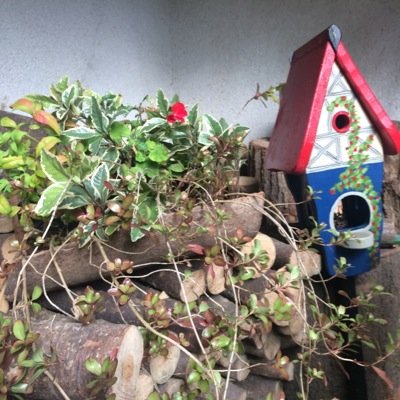 米津さんとはちみつ梅酢を愛してる🌾/空想、JUNK参船🚢GHOST参船予定！/子育て格闘中！/絵心も器用さも皆無なので発信はできないのですが...米民さんの作品等を見ながら幸せに浸っています😊無言フォロー失礼します🙇‍♀️梅ちゃんと気軽に呼んでください😊タメ口も全然オッケーです😁