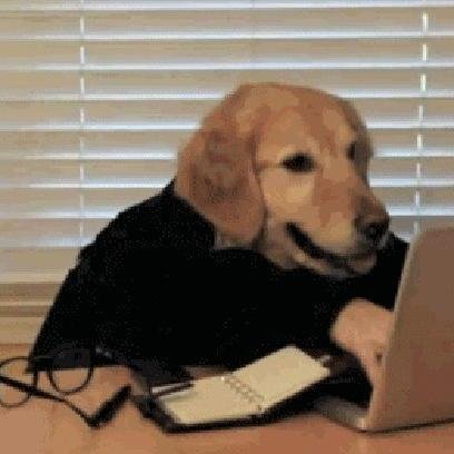 Music Lover - Inspiring Talent - Funny Guy - Follow your Dreams, They know the way! semi retired farmer. Love animals. 🐈🐂🐄🐓🐈‍⬛🫏 🇨🇦 🌈