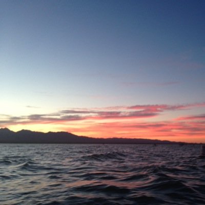 lifeinalense's profile picture. photography