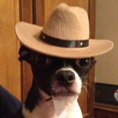 PatrickCardoza's profile picture. 