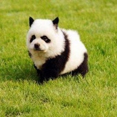もの