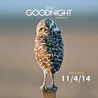 The Goodnight (@thegoodnight) Twitter profile photo