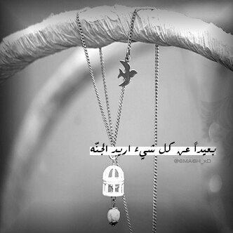 تحطمت تألمت بكيت كثيراً ~
لكن لا زلتُ الملم اشلائي 
وامضي وكأن شيئاً لم يكن !