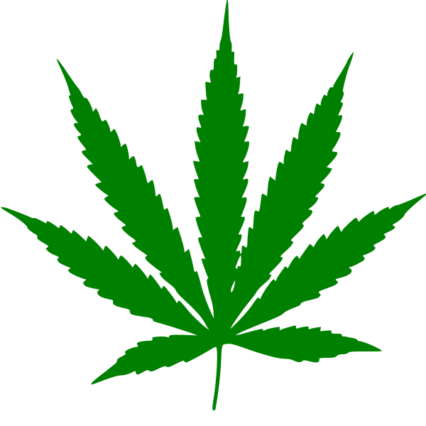 BahamasCannabis's profile picture. BahamasCannabis is campaigning 4 the legalization of cannabis 4 all purposes, including medicinal use, as biomass, hemp-based products, & recreational drug use.