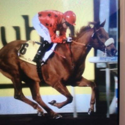 Eleven time UAE Champion Jockey 🏇