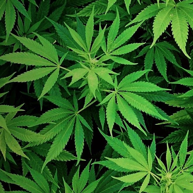 yvesyves71's profile picture. 