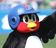frouboti's profile picture. 燕党/ライト会員/ヤクルトファンの方、フォローよろしくお願いしますm(_  _)mフォロバします。   #12、19、50、2896　ゴーゴースワローズ！