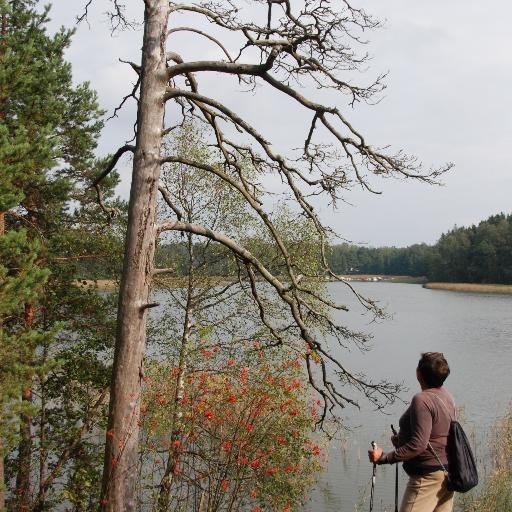 rakashyvonen's profile picture. toimittaja, kouluttaja, viestijä ja kiertotalouden asiantuntija