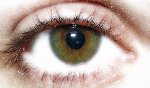 passyg's profile picture. 