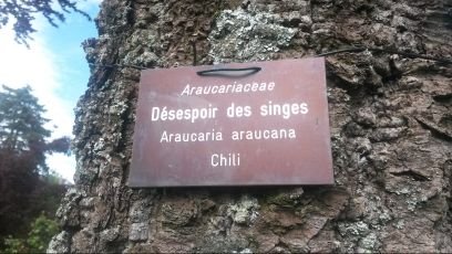 DuboisFdeMorges's profile picture. 