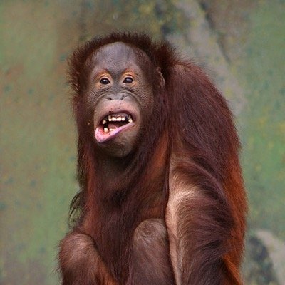 RoggiHunt's profile picture. 