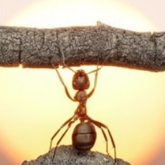 jing1518's profile picture. Powerful,active,funny girl   :-)