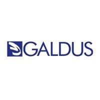 Galdus Formazione (@galdusf) 's Twitter Profile