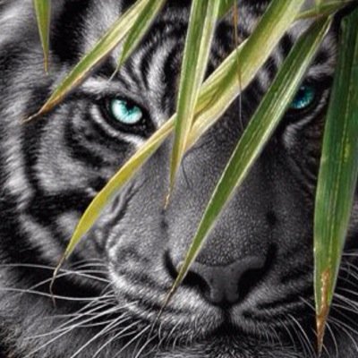 11 year old artist|Self taught|Writer|Gamer|Artist|Animal lover|