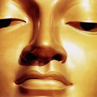 Soma Katiyar (@bluelaces) 's Twitter Profile