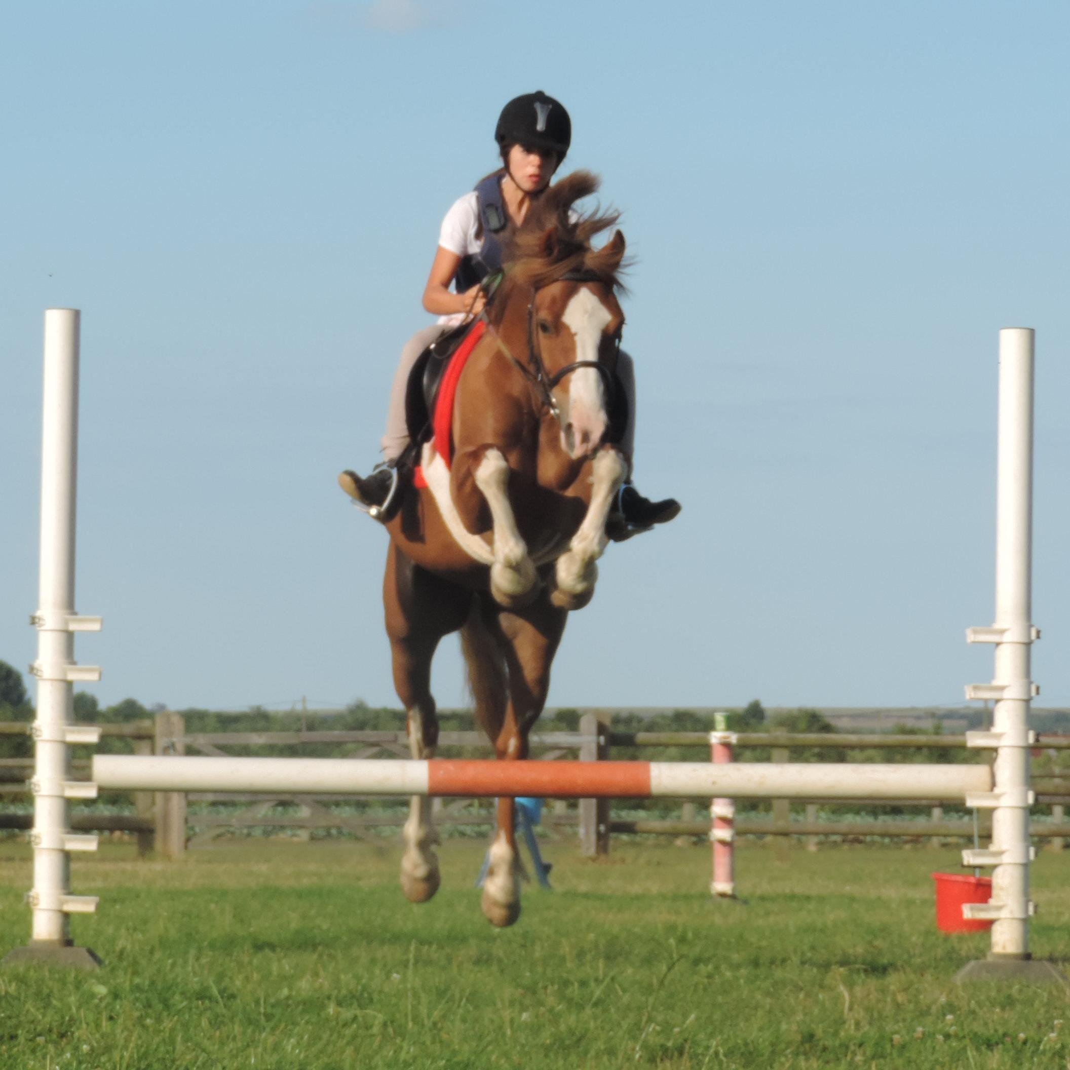 Park Farm Riding School, Kent. Children only. Many holidays activities. English & Riding 00 44 77 10 01 42 96 (French Spoken)
parkfarmriding@yahoo.co.uk