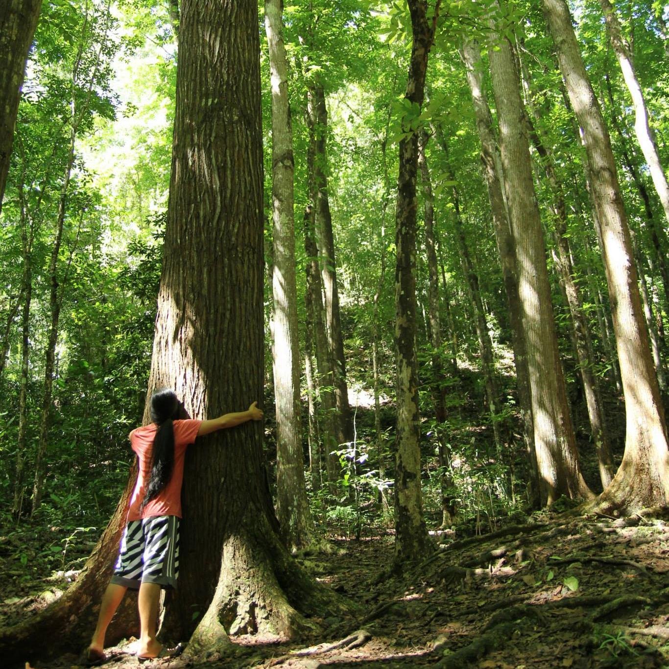 TravelHackerPH's profile picture. 