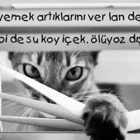 Bilge Cerah Sunal (@bilgecerahsunal) 's Twitter Profile Photo Bilge Cerah Sunal (@bilgecerahsunal) 's Twitter Profile Photo