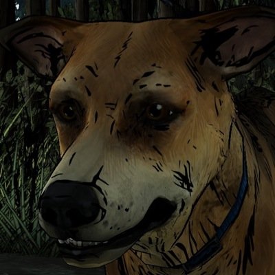 Hello I'm Sam, a male german shepherd, my owner and family died since the zombie race got loose. Taken by @theorphangirl