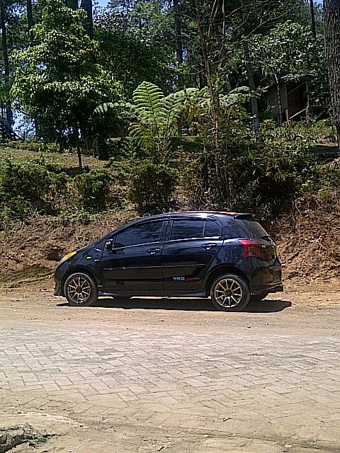 Cari istri