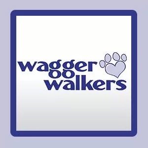 Charlotte's best run and most trusted dog walking service.