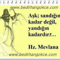 Altay sarıaydın (@saraltay) Twitter profile photo